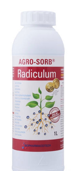 Radiculum - 1L Radiculum - 1L